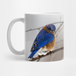 Eastern Blue Bird Mug